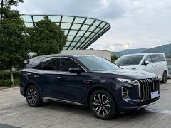 Hongqi HS7 2.0T AWD Edition - фото 3