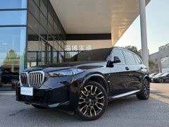 BMW X5 xDrive 40Li M - фото 2
