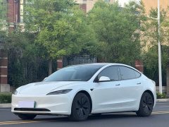 Tesla Model 3 Edition - фото 1