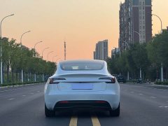 Tesla Model 3 Edition - фото 8
