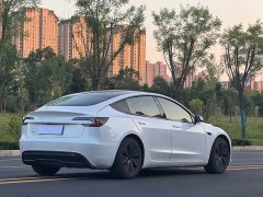 Tesla Model 3 Edition - фото 9