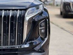 Hongqi HS7 PHEV 2.0T PHEV 2WD Edition 6 - фото 7
