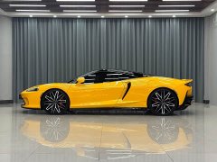 Mercedes-Benz McLaren GT 4.0T standard - фото 3