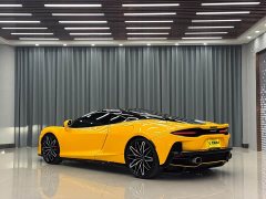 Mercedes-Benz McLaren GT 4.0T standard - фото 8