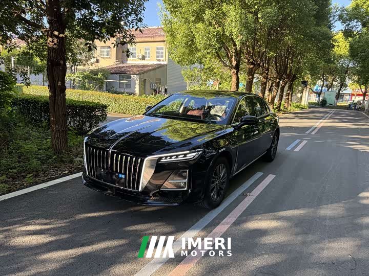 Hongqi H5 1.5T DCTPro Edition - автомобиль из Китая