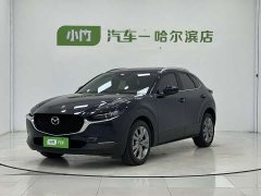 CX-30 2.0L Version - фото 1
