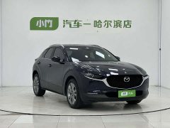 CX-30 2.0L Version - фото 3