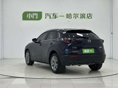CX-30 2.0L Version - фото 4
