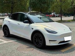 Tesla Model Y Standard Range Edition - фото 10