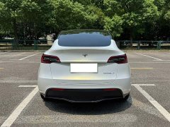 Tesla Model Y Standard Range Edition - фото 12
