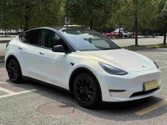 Tesla Model Y Standard Range Edition - фото 4