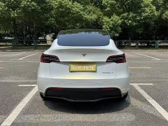 Tesla Model Y Standard Range Edition - фото 6