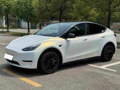 Tesla Model Y Standard Range Edition - фото 8