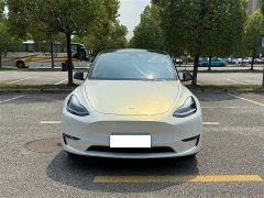 Tesla Model Y Standard Range Edition - фото 9