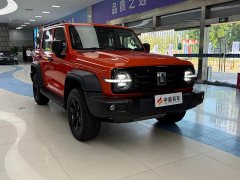 Tank 300 2.0T - фото 3
