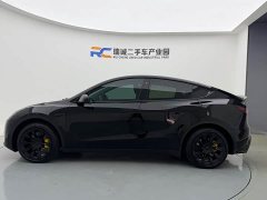 Tesla Model Y Edition - фото 7