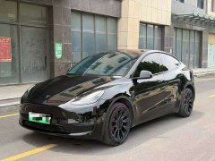 Tesla Model Y Long Range Edition - фото 1