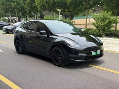 Tesla Model Y Long Range Edition - фото 3