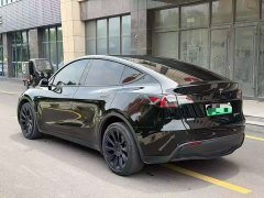 Tesla Model Y Long Range Edition - фото 4