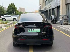 Tesla Model Y Long Range Edition - фото 5