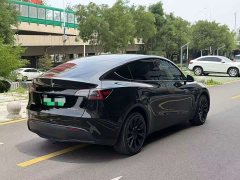 Tesla Model Y Long Range Edition - фото 6