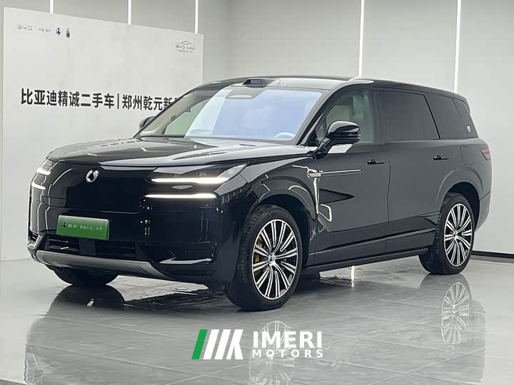 Denza N9 Honor Type - автомобиль из Китая