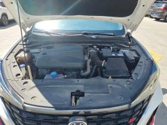 Changan Edition PLUS NE 1.4T GDI DCTPremium Edition - фото 10