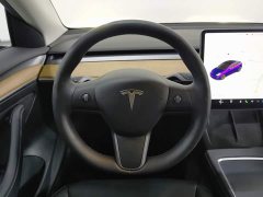 Tesla Model 3 Standard Range Edition 3D1 - фото 11
