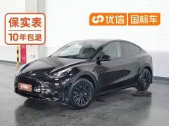 Tesla Model Y Edition - фото 1