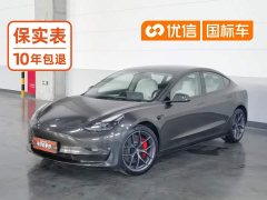 Tesla Model 3 PerformancePerformance Edition - фото 1