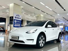 Tesla Model Y Long Range Edition - фото 1