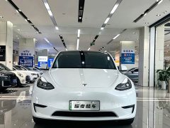 Tesla Model Y Long Range Edition - фото 2