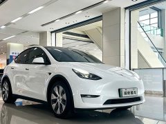 Tesla Model Y Long Range Edition - фото 3