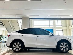 Tesla Model Y Long Range Edition - фото 4