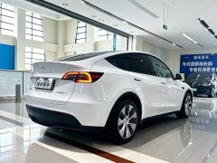 Tesla Model Y Long Range Edition - фото 5