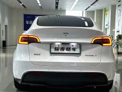 Tesla Model Y Long Range Edition - фото 6
