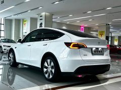 Tesla Model Y Long Range Edition - фото 7