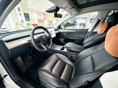 Tesla Model Y Long Range Edition - фото 8