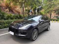 Porsche Cayenne 3.0T Platinum Edition - фото 1