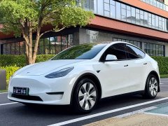 Tesla Model Y Standard Range Edition - фото 1