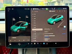 Tesla Model Y Standard Range Edition - фото 18