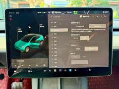 Tesla Model Y Standard Range Edition - фото 19