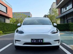 Tesla Model Y Standard Range Edition - фото 2
