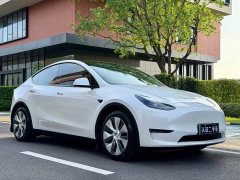 Tesla Model Y Standard Range Edition - фото 3