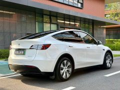 Tesla Model Y Standard Range Edition - фото 6