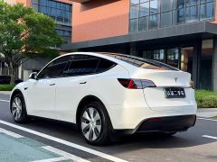 Tesla Model Y Standard Range Edition - фото 8