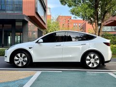Tesla Model Y Standard Range Edition - фото 9