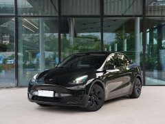 Tesla Model Y Edition - фото 1