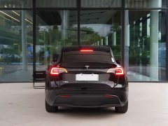 Tesla Model Y Edition - фото 12
