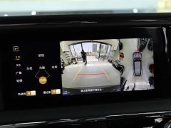 Hongqi Golden Sunflower Guoyao 2022 4.0T Monarch Flagship Edition 4 seats - фото 14